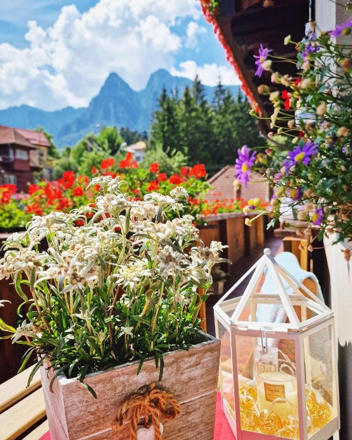 Amor Tirol Busteni (Adults Only) 외부 사진